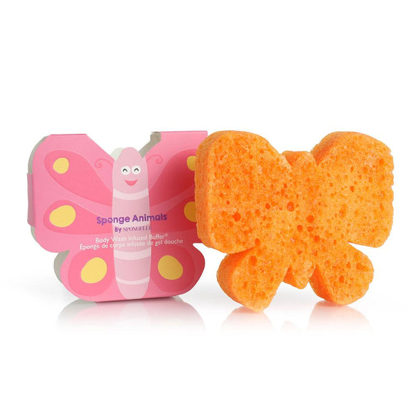 Animals Collection – Butterfly Sponge